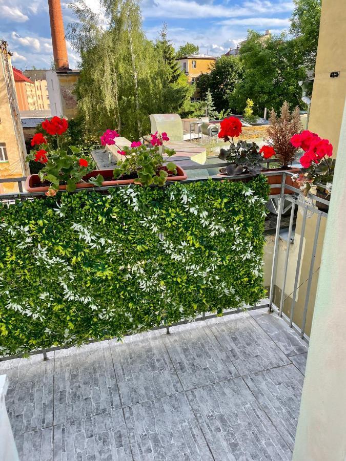 Pension Majovka Cheb Kültér fotó